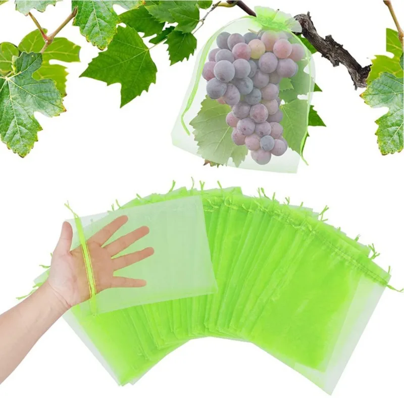 50 قطعة من أكياس حماية الفاكهة - مراجعة Mesh Net Bag وسعره